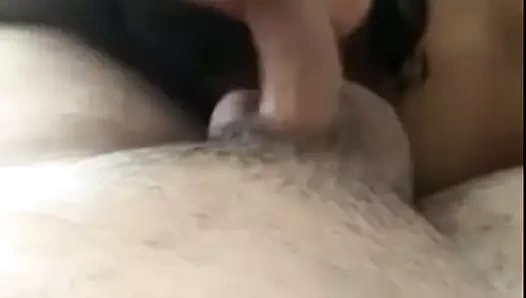 Me gusta chupar tus bolitas