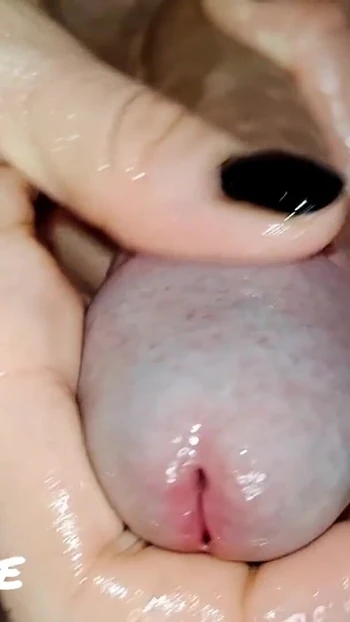 Ключевой момент из "Руководство по терапии преждевременной эякуляцией для начинающих XXX (время доения)"