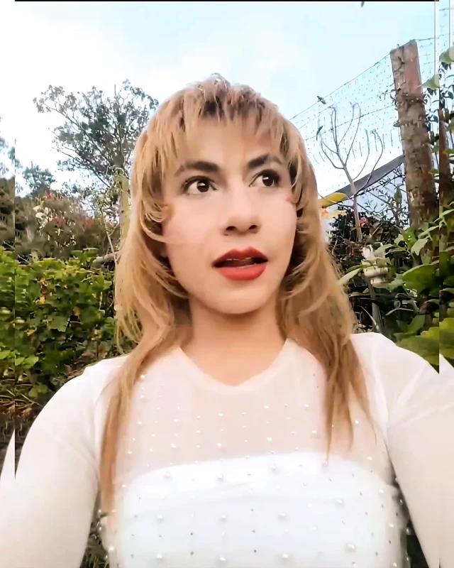 11 Kasım'da canlı gösteri