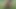 Olgun amatör bbw losyonları ona kedi açık