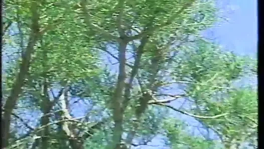 Rio (brezilya) seks toplam hacmi 1