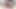 Yaramaz sulu sürtük berbat yapay penis ve masturbates kedi