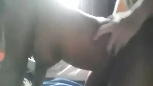 Sıcak büyük kıçlı Brezilyalı abanoz karısı - video 1 / 2