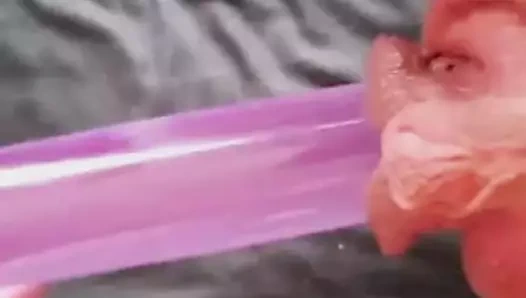 Her şeyi Ağustos 2016'da gördüğümü sanıyordum