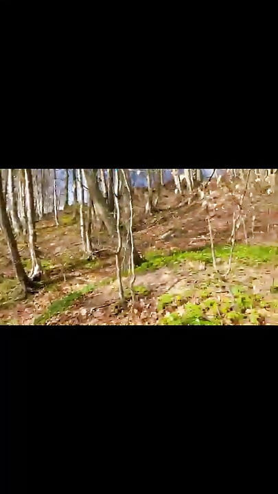 Amatör derleme mastürbasyon