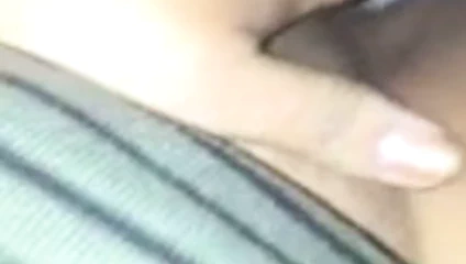 Kedi oynama benim için 3