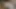 Amatör web kamerası - latin model oyuncu seçmelerinde sert pornoda ilk kez sahneye çıkıyor