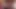 Kar tavşanı bbc yüz