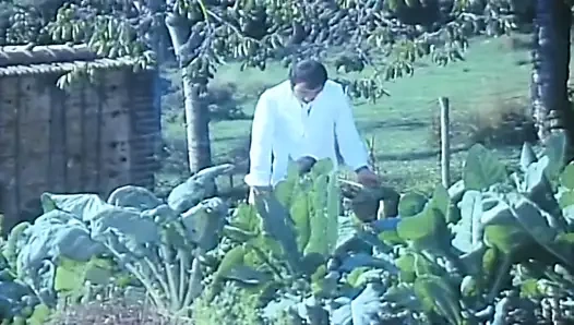 Artık ipucu yok, krema yok