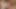 Seksi sarışın kız göt yalıyor götünü sikiyor parmaklıyor