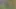 Güzel genç kalça amfisi