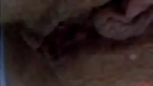 behaarte Fechenheim 3Lochstute Martina Urlaubsimpressionen