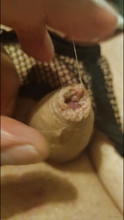Külotlu ve iç çamaşırlı küçük yarak derlemesi slayt gösterisi
