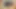 Big cock I take to my pussy and mouth