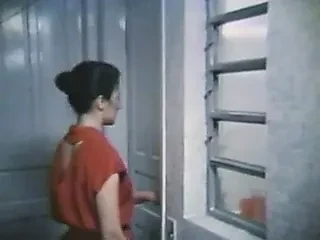 Senta no Meu (1985) - бразильский винтаж