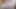 Olgun şişman bir kadın anal seks yapıyor ve oral seks yaparken göğüsleri ve götü sallanıyor