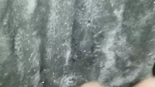 Sevimli güzel sıkı kedi