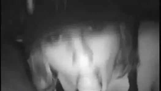 Yarak kraliçesi 2 yarak emiyor