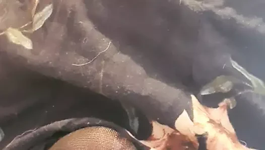 Okşayarak benim horoz içinde yaz elbise ve tayt ve ön boşalmak