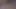 Irak karısı güzel kedi