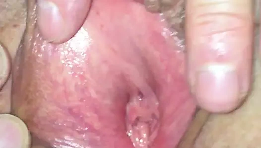 Moldovalı olgun kedi oynuyor