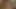 Caprice ve kari içinde bir güzel lezbiyen sahne tarafından sapphic erotica
