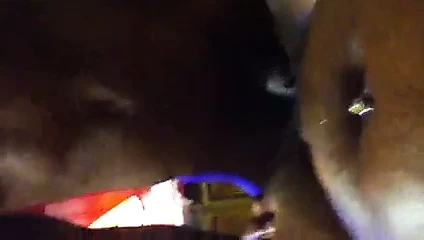 Bana kedi fışkırtma yapmayı seviyorum