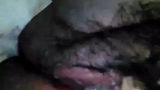 ıslak kıllı KEDİ