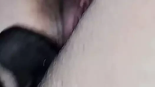 iyi porto rikolu KEDİ