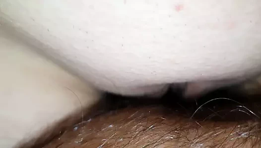 Sevimli tombul eş binmek küçük horoz