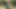 Bu kızıl saçlı Belçikalı ne istediğini (penis) biliyor ve istediğini yapıyor