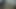 Amber cennet ve zambak ile isim soyma (hd)