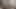Tüylü MILF Oral Oyunları