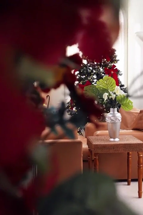 Mofos - alyx yıldızı ayakla mastürbasyon ile xxxmas eğlencesi