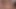 Snoo Pomo