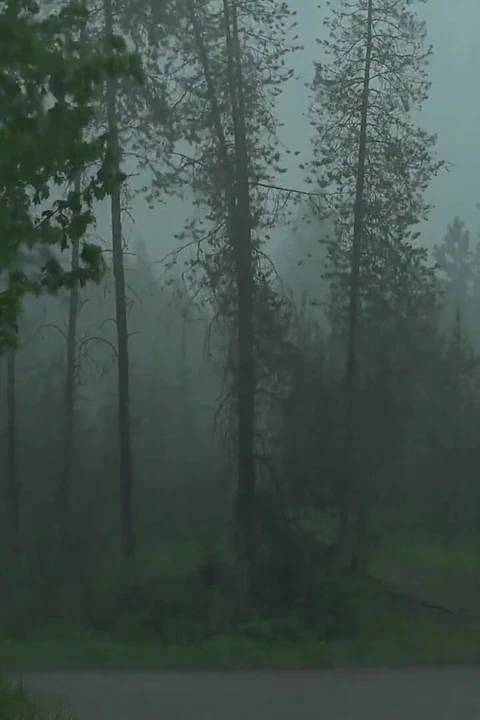 Büyük yuvarlak götlü gerçek üvey anne yarağa binmek için doğdu