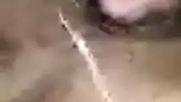 Dalip bhartiy gece zaman handjob