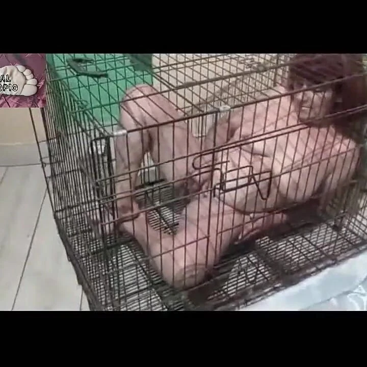 Двойная ласка, часть 1