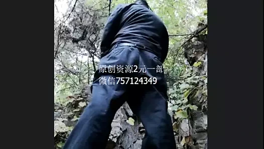 Çin uygun baba solo 10