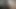 Patron onu kedi ile çalışanları cezalandırıyor