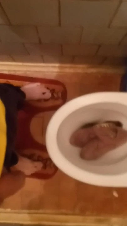 çiş üzerinde bulundu süet yüksek topuklu çizmeler bölüm 2