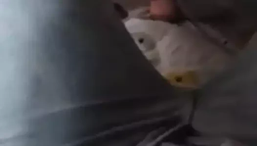 19 yaşındaki Brezilyalı parmak kendini pt. 1