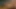 8teenhub - Haley Paige dildoyla başlıyor ve kalın yaraklı bir adamla bitiyor