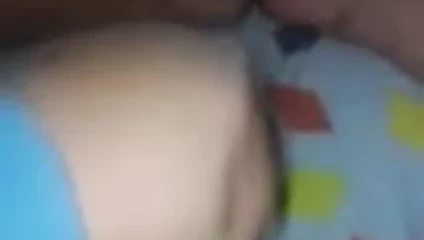 Tuga pita com brinquedo