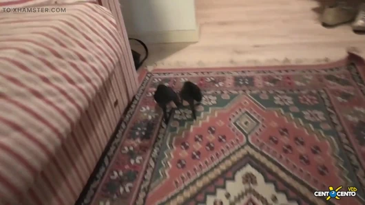 Roxana ile bir gün ve Annunziata ile bir gün