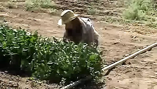 Sıcak sarışın genç sürtük masturbates