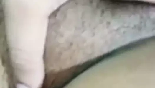 Büyük Hint testiler