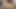 Alman sexparty no kondom ile Creampie ve dev boşalmak yükler