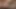 Samantha 38G, Shane Diesel ile tanışıyor