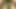 Amazon kabilesinden genç adamın Selva'da tanıştığı ilk adamla sikişmesi gerekiyor